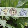 Order  Animal Cuties - Jungle/Lime Juice